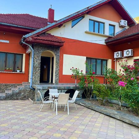 Pensiunea Orhideea Бэиле-Еркулане Экстерьер фото
