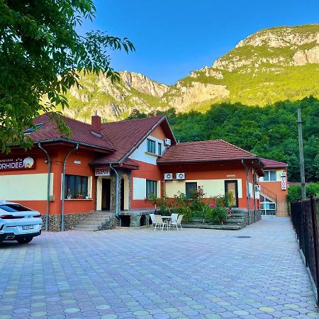 Pensiunea Orhideea Бэиле-Еркулане Экстерьер фото