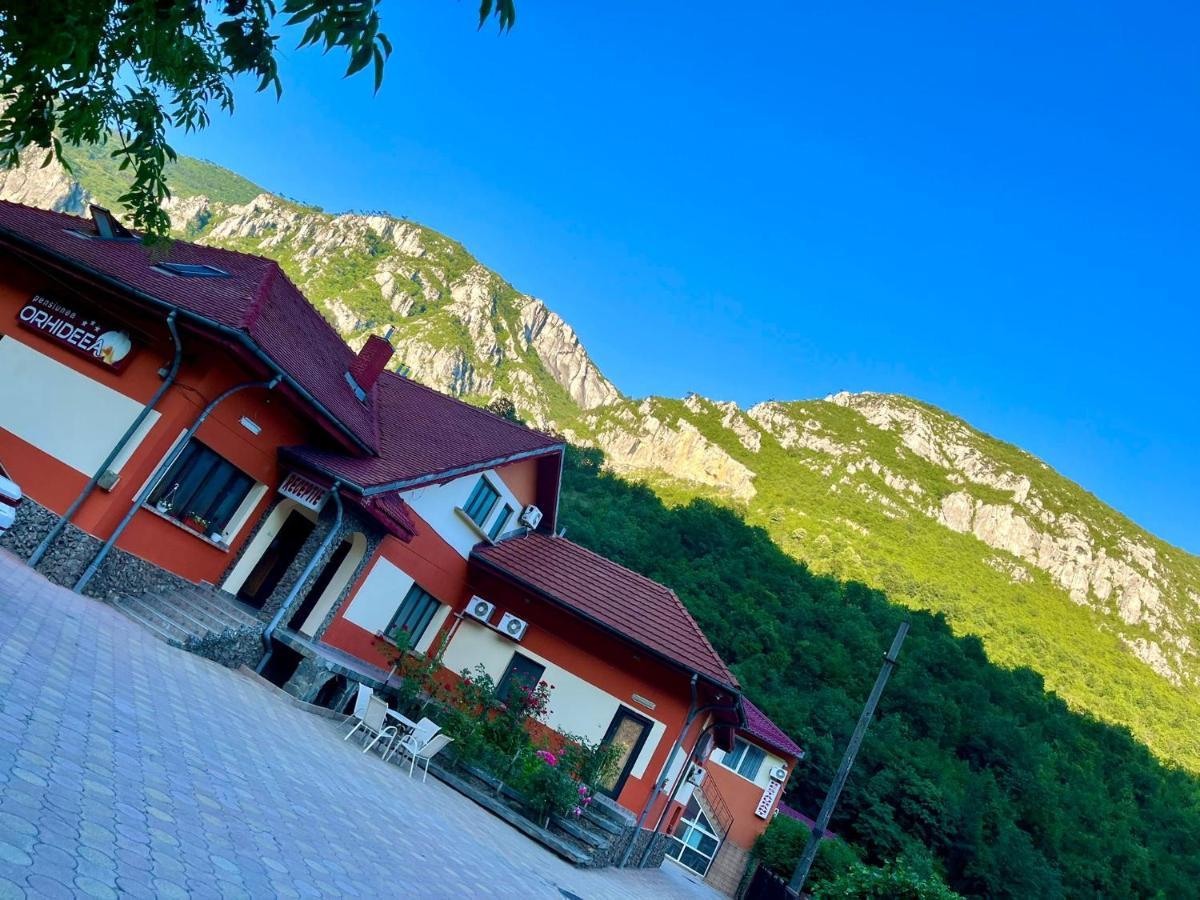Pensiunea Orhideea Бэиле-Еркулане Экстерьер фото